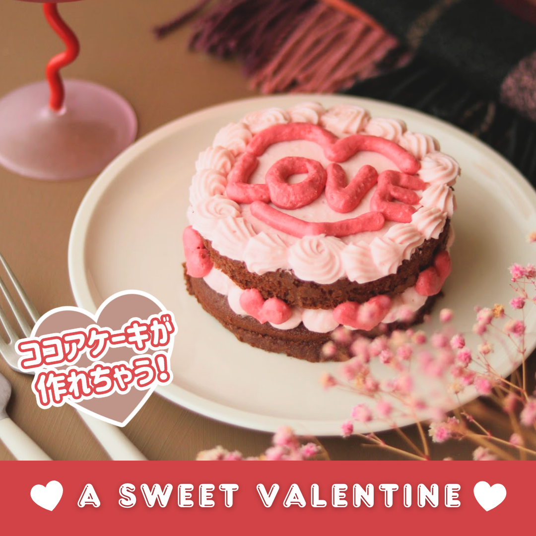 【バレンタインに！】ブラックココアパウダー付き🤎ケーキキット